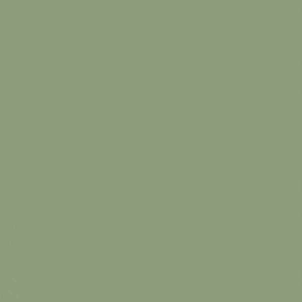 Vert pâle 6021