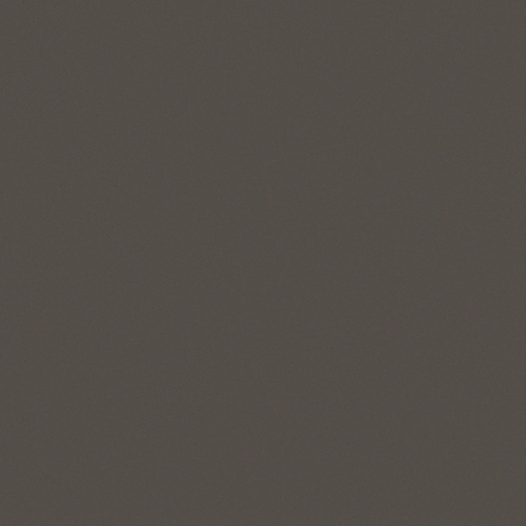 Gris terre d'ombre 7022