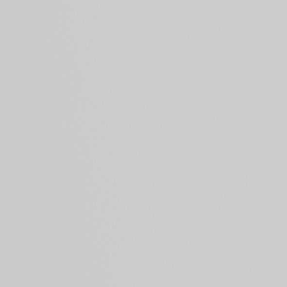 Gris clair 7035