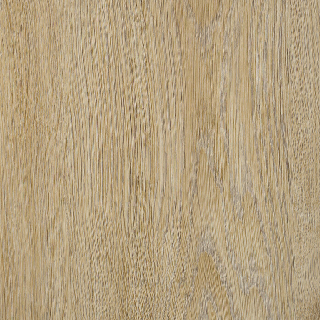 Coriander Oak