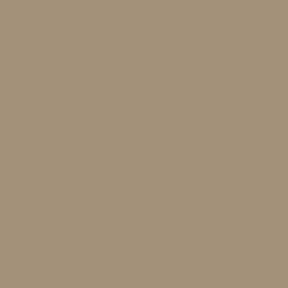 Beige gris 1019